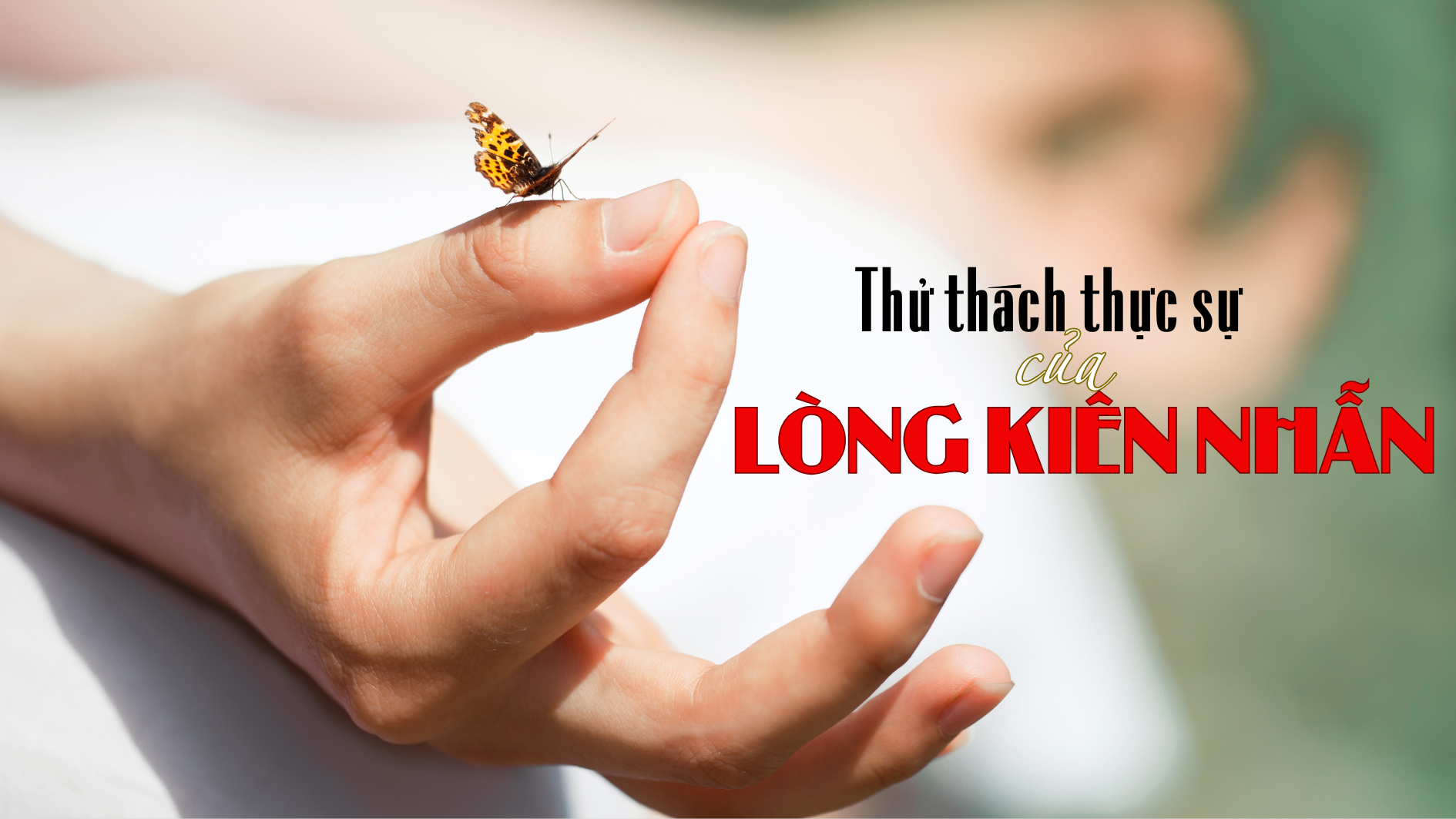 Sự kiên nhẫn của chúng ta được kiểm chứng như thế nào khi bị bạn bè đối xử tệ ?